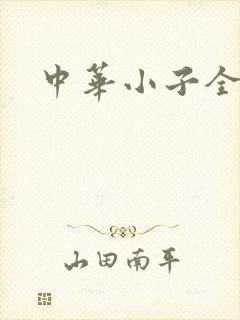 中华小子全集