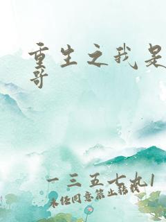 重生之我是大帅哥