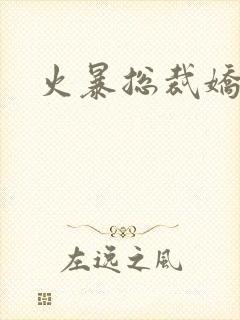 火暴总裁娇柔妻