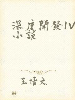 深度开发1V3小说