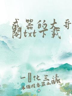 成器的大哥笔趣阁txt下载