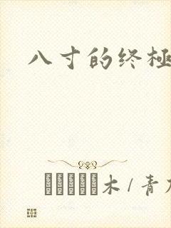 八寸的终极凶器