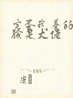 完蛋我养的小白脸是大佬