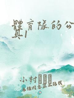 体育队的公用玩具1