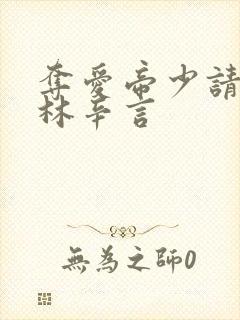 夺爱帝少请放手林辛言