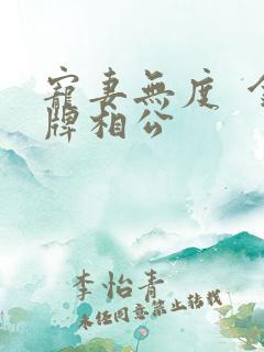 宠妻无度  金牌相公