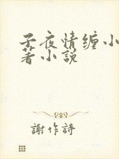 子夜情缠小说原著小说