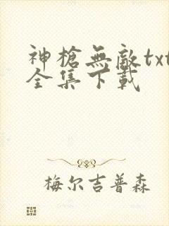 神枪无敌txt全集下载