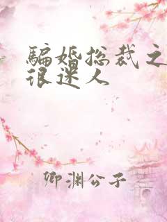 骗婚总裁之老婆很迷人