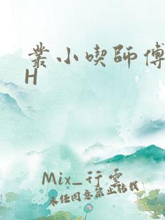丛小吃师傅的HH