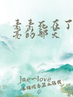 素素死在了最漂亮的那天