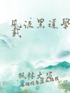 风流黑道学生下载