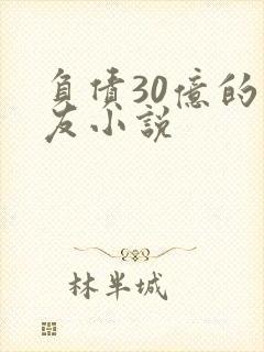 负债30亿的男友小说