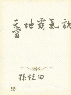 天地霸气诀无弹窗