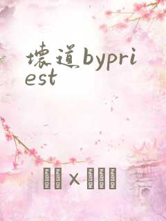 坏道bypriest