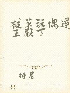 校草玩偶遵命公主殿下