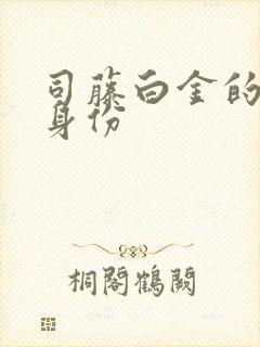 司藤白金的真实身份