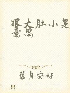 眼大肚小是什么意思