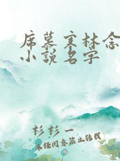 席慕寒林念儿的小说名字