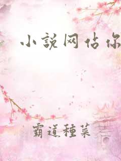 小说网站你懂的