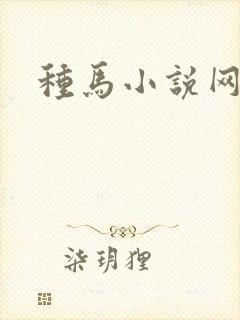 种马小说网