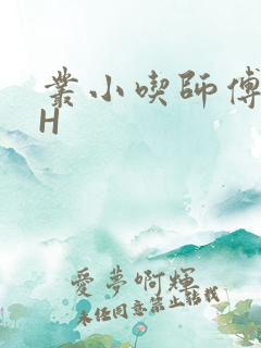 丛小吃师傅的HH
