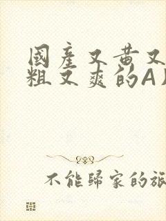 国产又黄又猛又粗又爽的A片小说