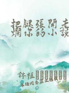 把腿张开老子臊烂你的小说