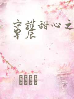 守护甜心之暗夜星辰