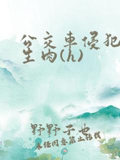 公交车侵犯小男生肉(h)