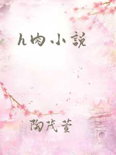 h肉小说