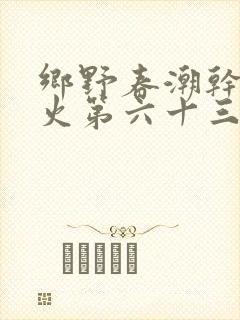 乡野春潮干柴烈火第六十三章