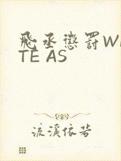 飞丞惩罚WRITE AS