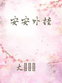 安安外挂