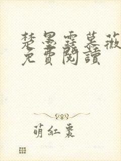 楚墨霆慕薇小说免费阅读