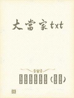 大当家txt