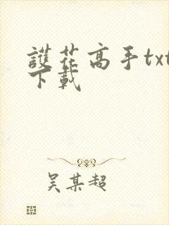 护花高手txt下载