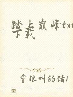 踏上巅峰txt下载