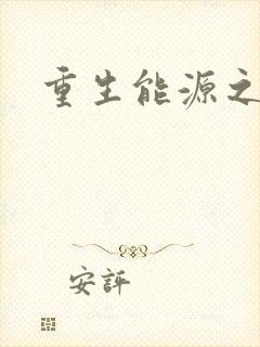 重生能源之王