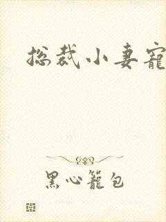 总裁小妻宠上天