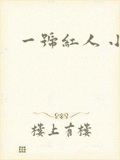 一号红人 小说