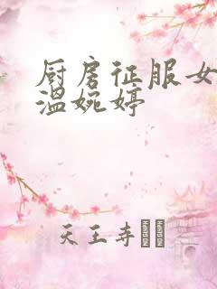 厨房征服女市长温婉婷