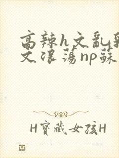 高辣h文乱乳h文浪荡np苏夏