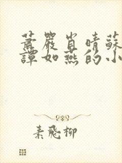 萧严肖晴苏雨溪谭如燕的小说