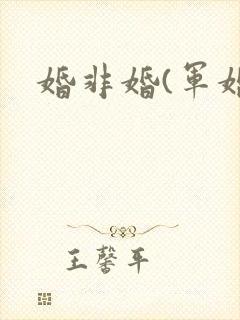 婚非婚(军婚)
