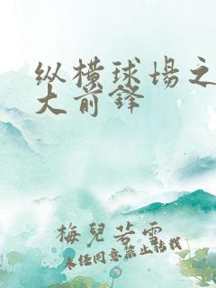 纵横球场之暴力大前锋