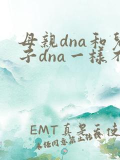 母亲dna和儿子dna一样不