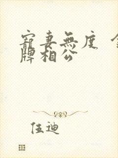 宠妻无度  金牌相公