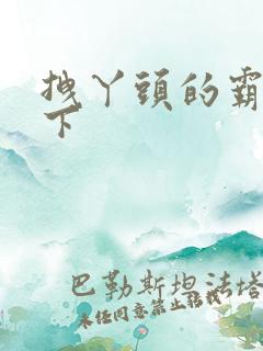 拽丫头的霸道殿下