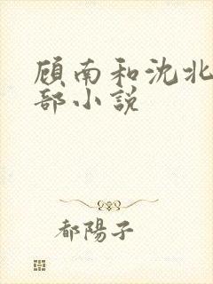 顾南和沈北是哪部小说